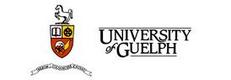 圭尔夫大学
